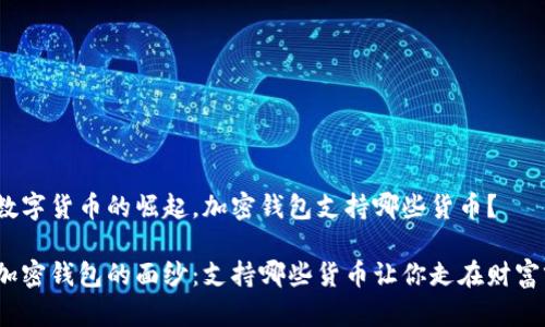 随着数字货币的崛起，加密钱包支持哪些货币？

揭开加密钱包的面纱：支持哪些货币让你走在财富前沿？
