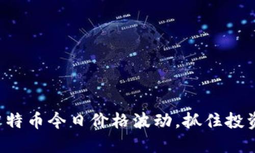 揭秘莱特币今日价格波动，抓住投资机会！
