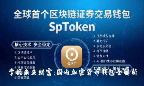 掌握未来财富：国内加密货币钱包全解析