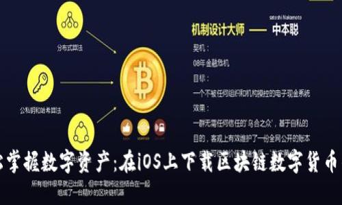 轻松掌握数字资产：在iOS上下载区块链数字货币钱包