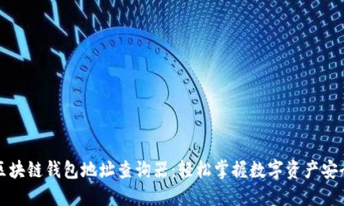 区块链钱包地址查询器：轻松掌握数字资产安全